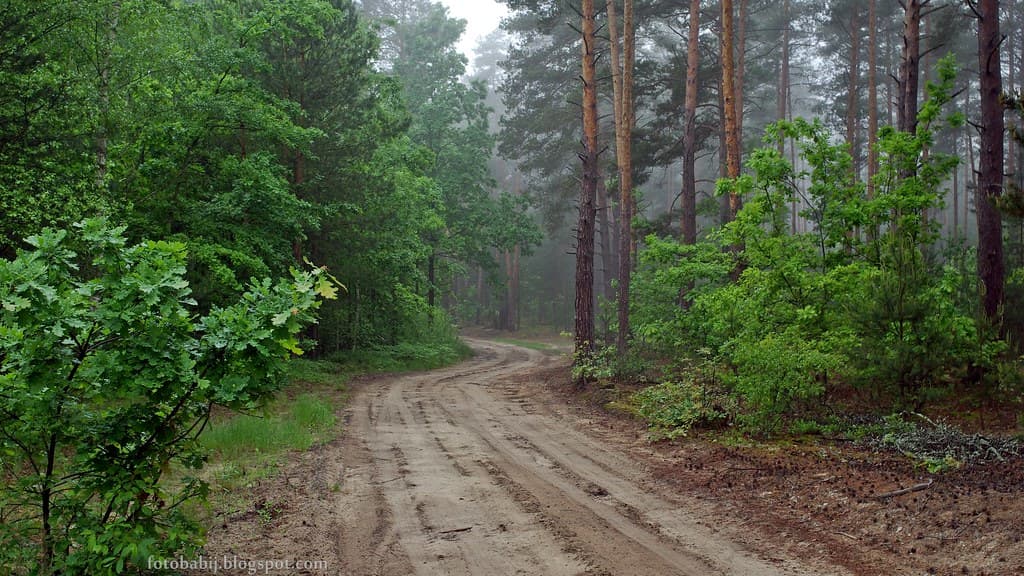 Google & Accel: The Avengers of India's AI Startup Scene