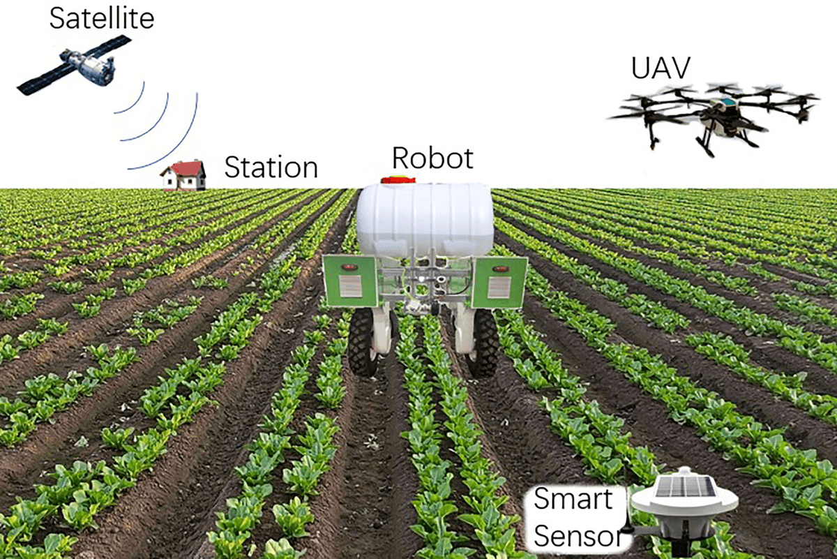 Robots and Artificial Intelligence could transform future of farming, says expert