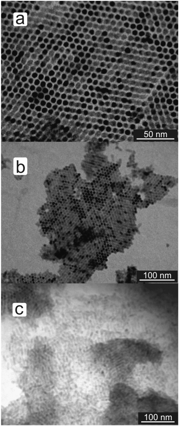 Peak XV raises $1.3B, doubles down on AI as global VC rivalry in India heats up