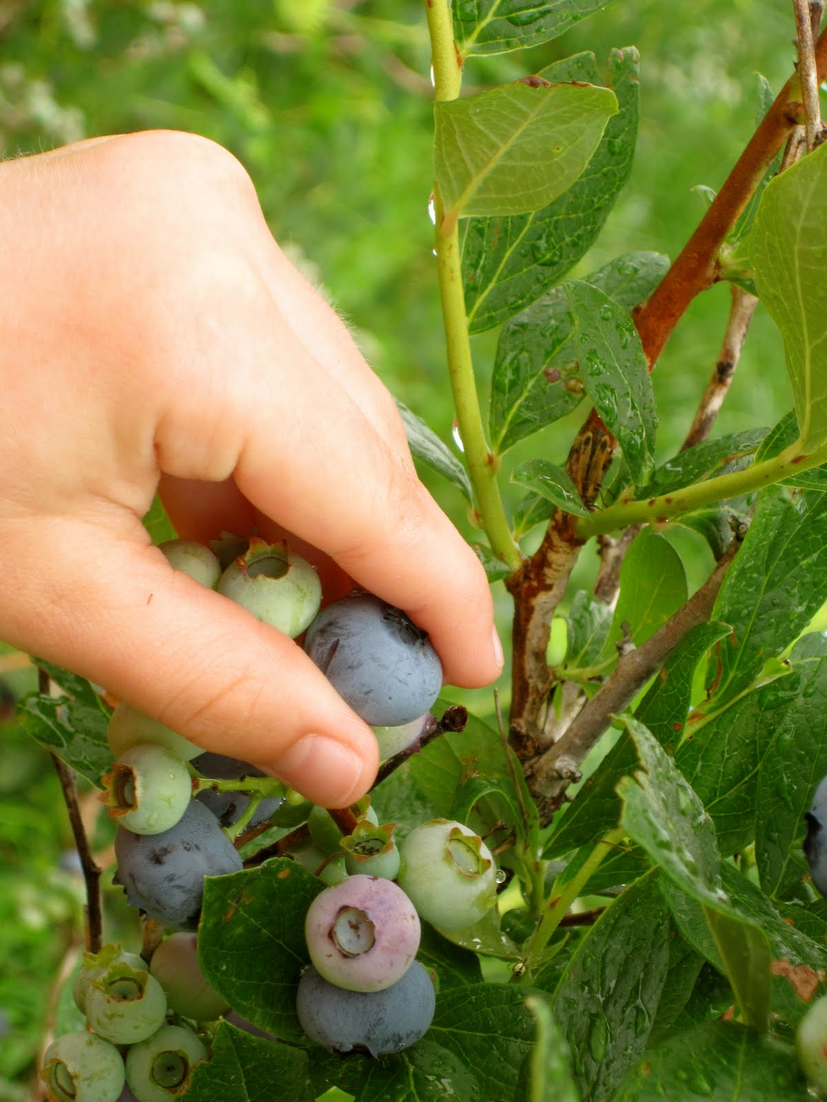 What the OpenClaw moment means for enterprises: 5 big takeaways